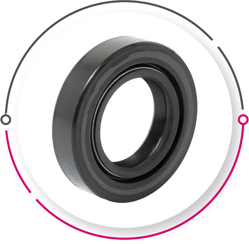 Double Lip Oil Seals